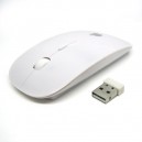 Rat&oacute;n Inal&aacute;mbrico Mouse