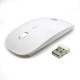 Ratón Inalámbrico/Wireless Mouse